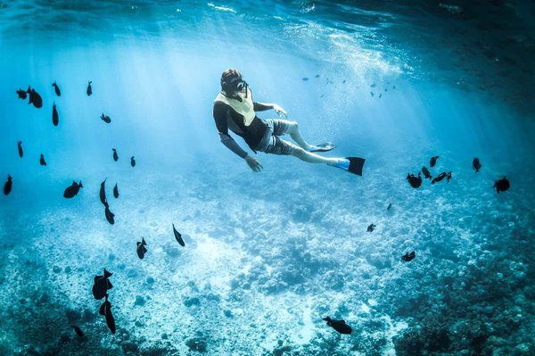 Où pratiquer le snorkeling avec les raies manta à Hawaï, États-Unis ?